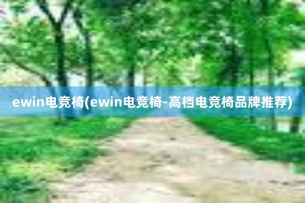 ewin电竞椅(ewin电竞椅-高档电竞椅品牌推荐)