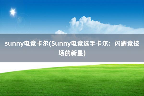 sunny电竞卡尔(Sunny电竞选手卡尔：闪耀竞技场的新星)