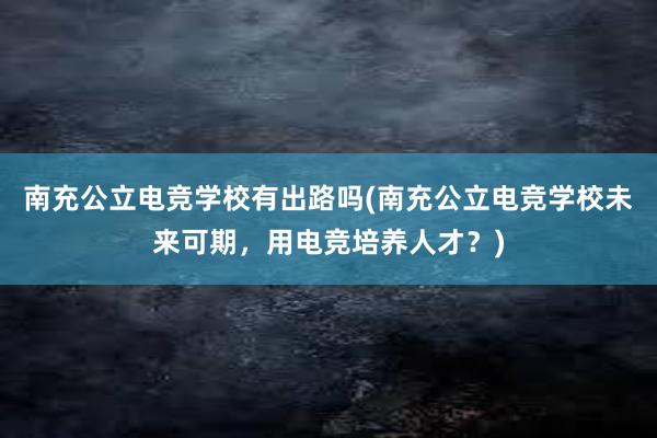 南充公立电竞学校有出路吗(南充公立电竞学校未来可期，用电竞培养人才？)