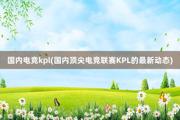 国内电竞kpl(国内顶尖电竞联赛KPL的最新动态)