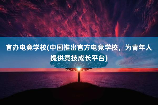 官办电竞学校(中国推出官方电竞学校，为青年人提供竞技成长平台)