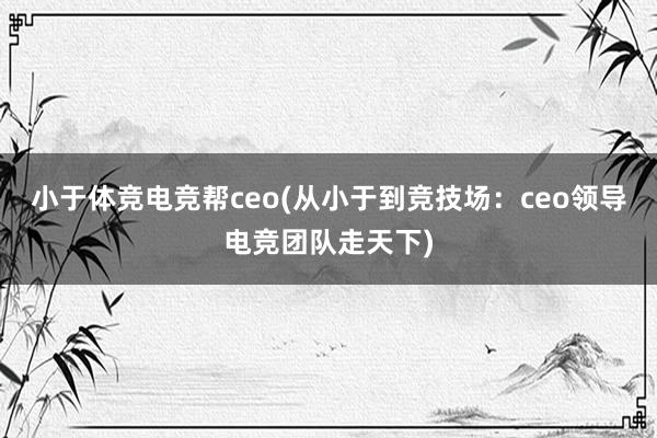 小于体竞电竞帮ceo(从小于到竞技场：ceo领导电竞团队走天下)