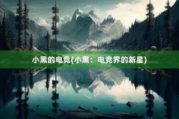 小黑的电竞(小黑：电竞界的新星)