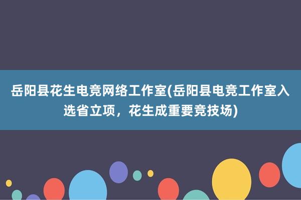 岳阳县花生电竞网络工作室(岳阳县电竞工作室入选省立项，花生成重要竞技场)