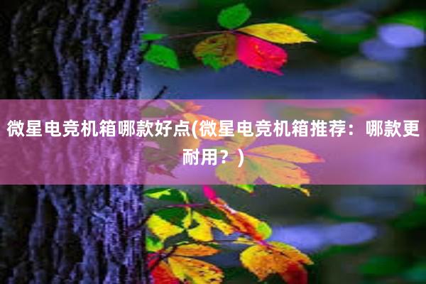 微星电竞机箱哪款好点(微星电竞机箱推荐：哪款更耐用？)