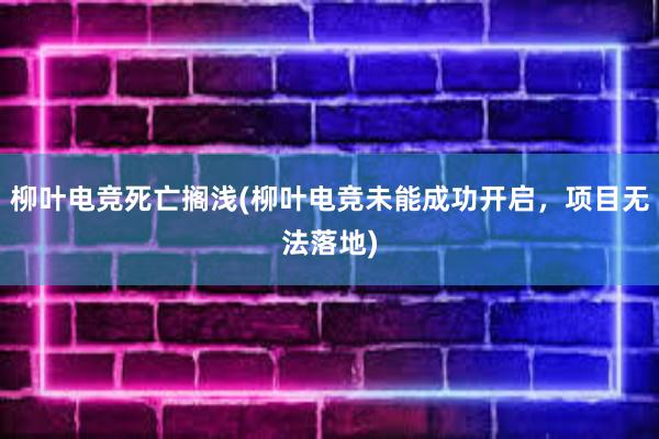 柳叶电竞死亡搁浅(柳叶电竞未能成功开启，项目无法落地)