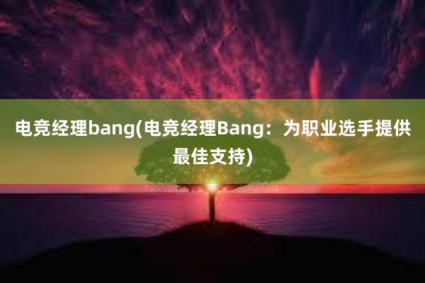 电竞经理bang(电竞经理Bang：为职业选手提供最佳支持)