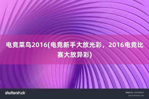 电竞菜鸟2016(电竞新手大放光彩，2016电竞比赛大放异彩)