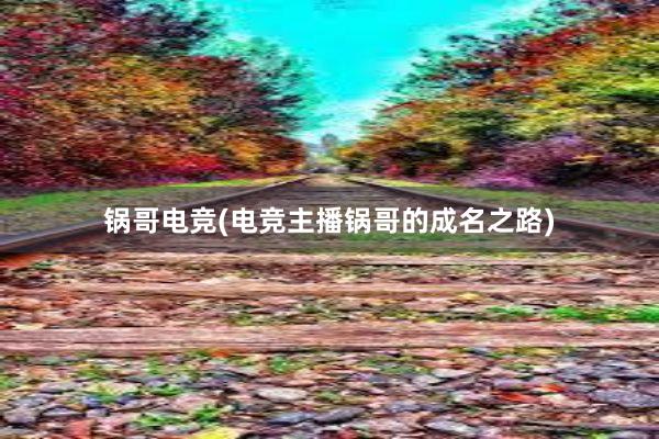 锅哥电竞(电竞主播锅哥的成名之路)