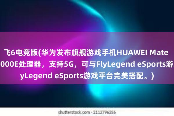 飞6电竞版(华为发布旗舰游戏手机HUAWEI Mate 40 RS，搭载麒麟9000E处理器，支持5G，可与FlyLegend eSports游戏平台完美搭配。)