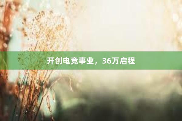 开创电竞事业，36万启程