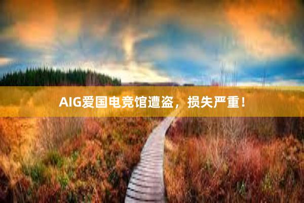 AIG爱国电竞馆遭盗，损失严重！