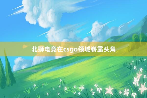 北狮电竞在csgo领域崭露头角