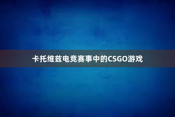 卡托维兹电竞赛事中的CSGO游戏