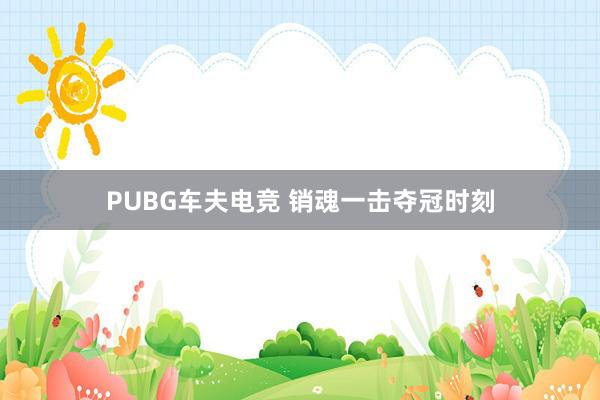 PUBG车夫电竞 销魂一击夺冠时刻