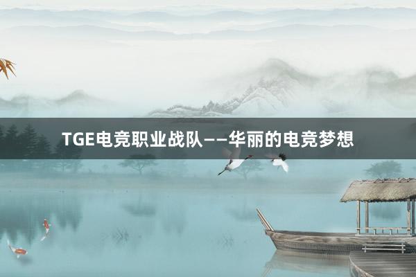 TGE电竞职业战队——华丽的电竞梦想