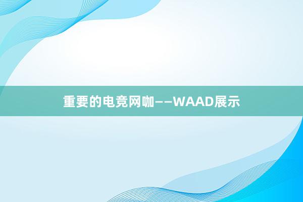 重要的电竞网咖——WAAD展示