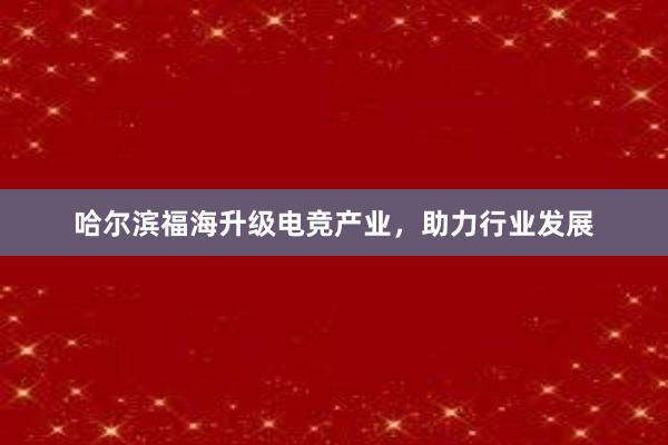 哈尔滨福海升级电竞产业，助力行业发展