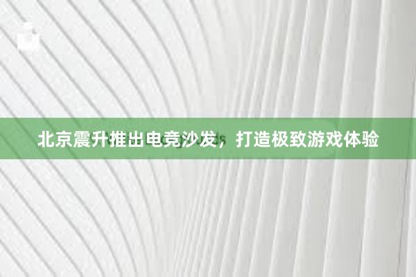 北京震升推出电竞沙发，打造极致游戏体验