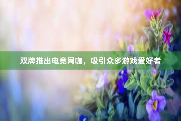 双牌推出电竞网咖，吸引众多游戏爱好者