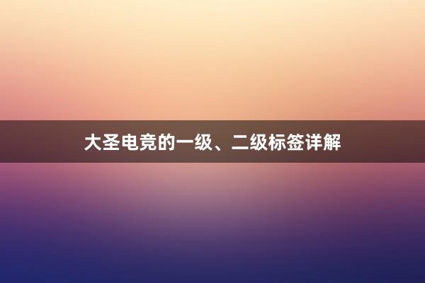 大圣电竞的一级、二级标签详解