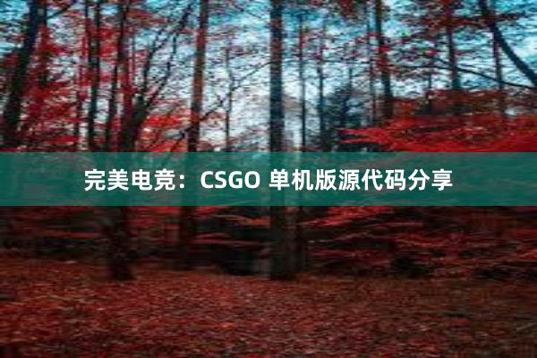 完美电竞：CSGO 单机版源代码分享