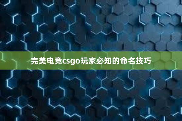 完美电竞csgo玩家必知的命名技巧