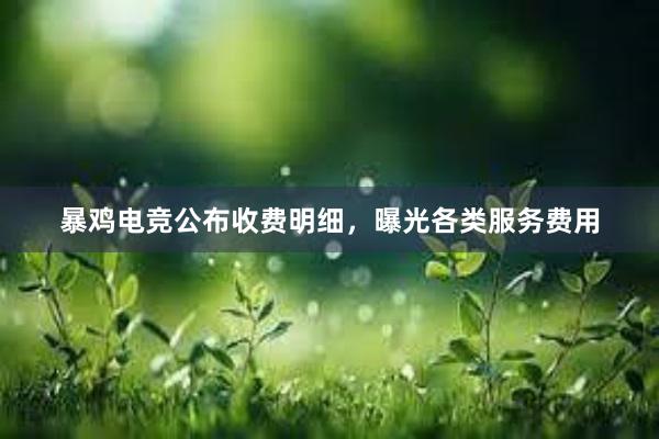 暴鸡电竞公布收费明细，曝光各类服务费用