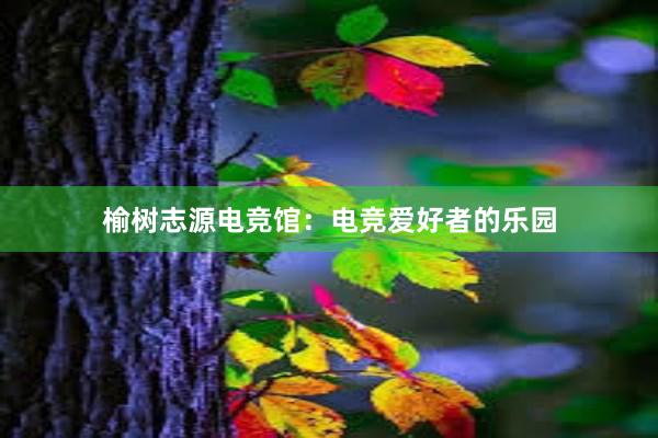 榆树志源电竞馆：电竞爱好者的乐园