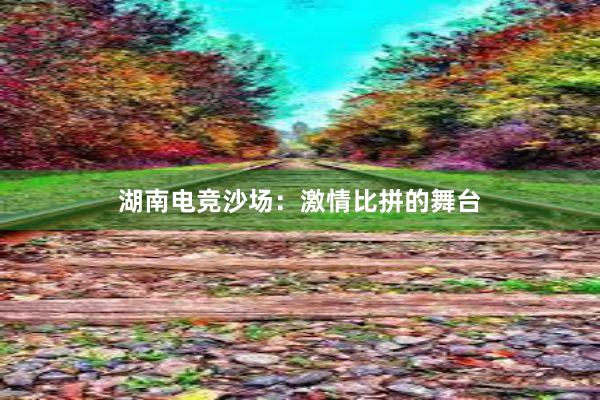 湖南电竞沙场：激情比拼的舞台