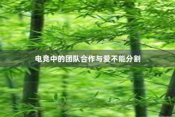 电竞中的团队合作与爱不能分割