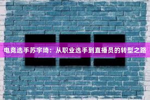 电竞选手苏宇琦：从职业选手到直播员的转型之路