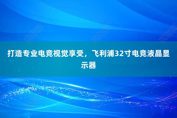 打造专业电竞视觉享受，飞利浦32寸电竞液晶显示器